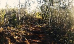 Luso Trail